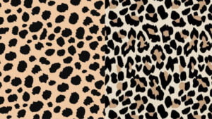 Leopard vs cheetah print