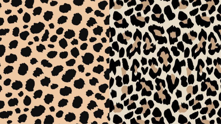 Leopard vs cheetah print