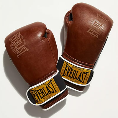 Everlast 1910 Boxing Gloves