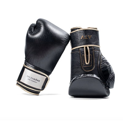 Splendore BKD Boxing Gloves